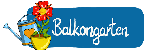 Xini die Seite mit dem blauen Vogel Balkongarten